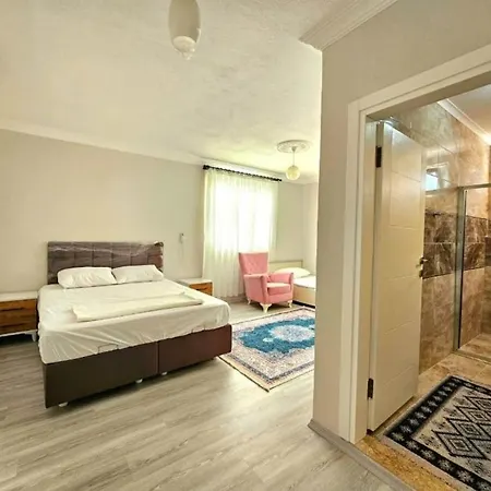 ヴィラ Fethiye Merkez Karagedik